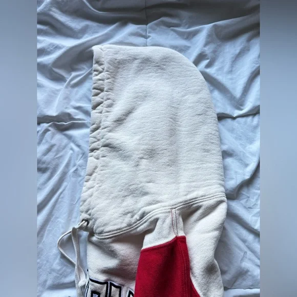 Supreme Paneled Arc Hooded Sweatshirt 'Natural'